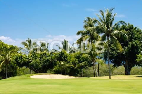 LITIBU BAY CLUB · Desarrollo destacado
