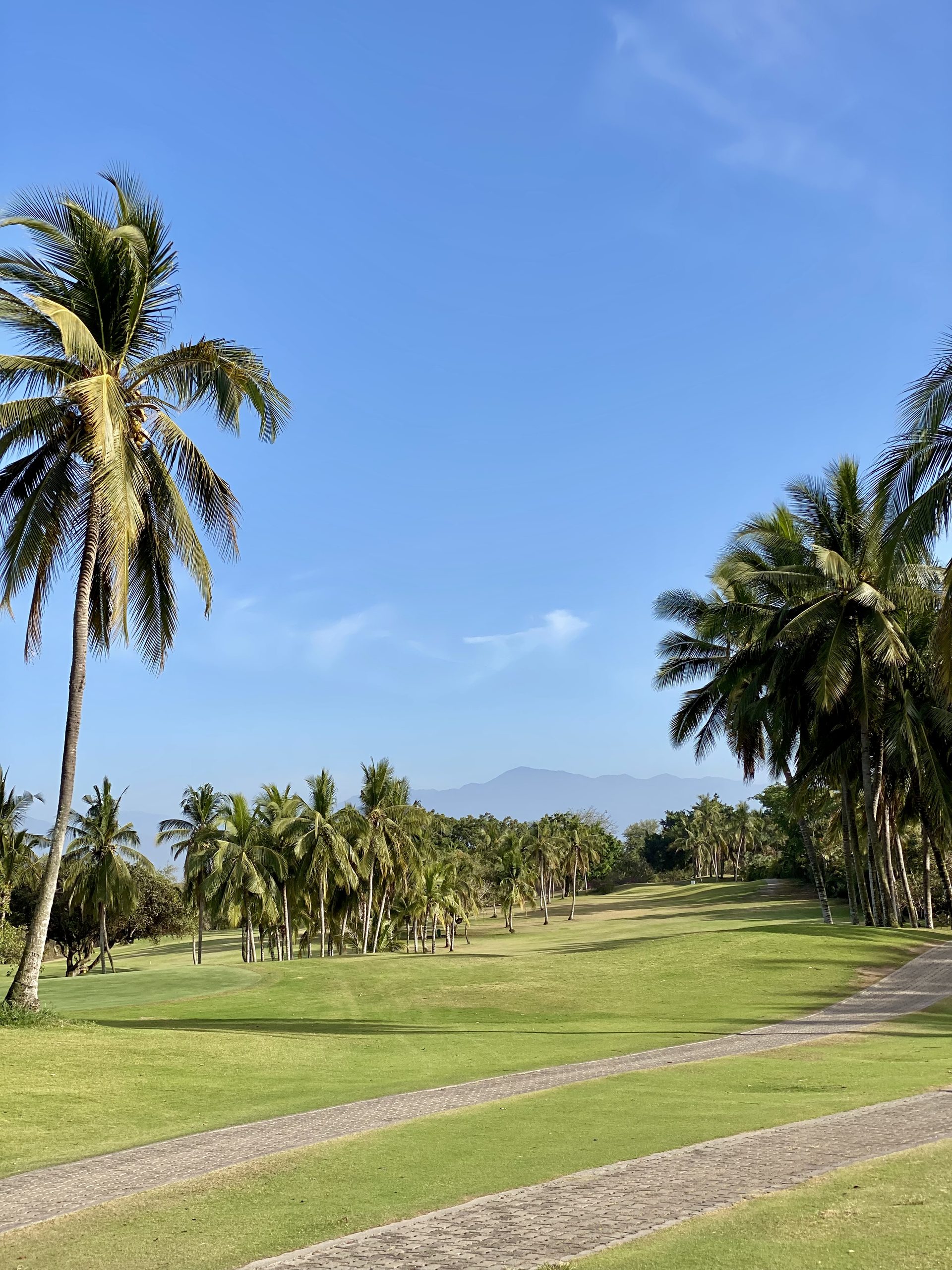 Flamingos · Golf y estilo de vida