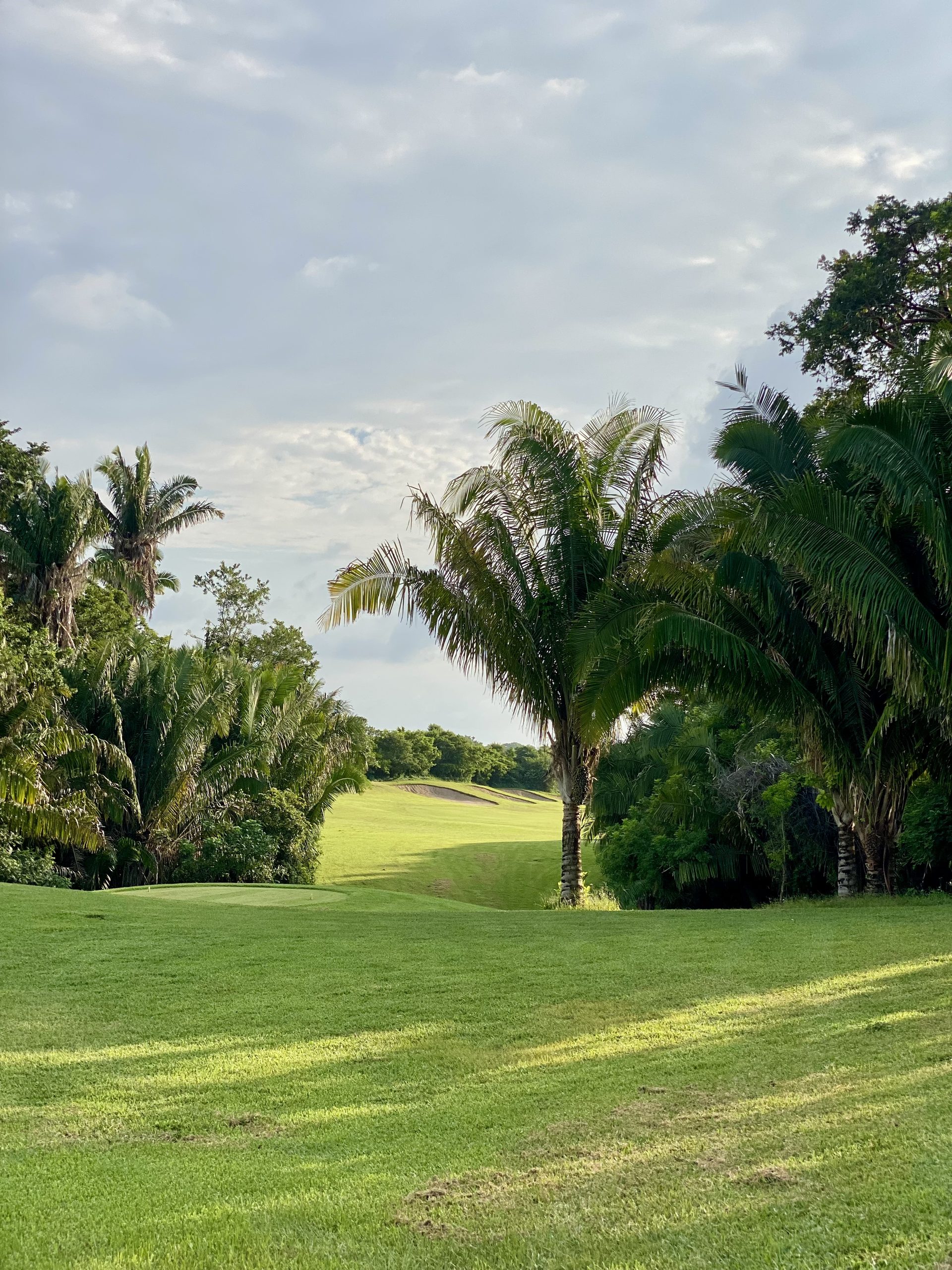 Litibú · Higuera Golf Club · Foto 2
