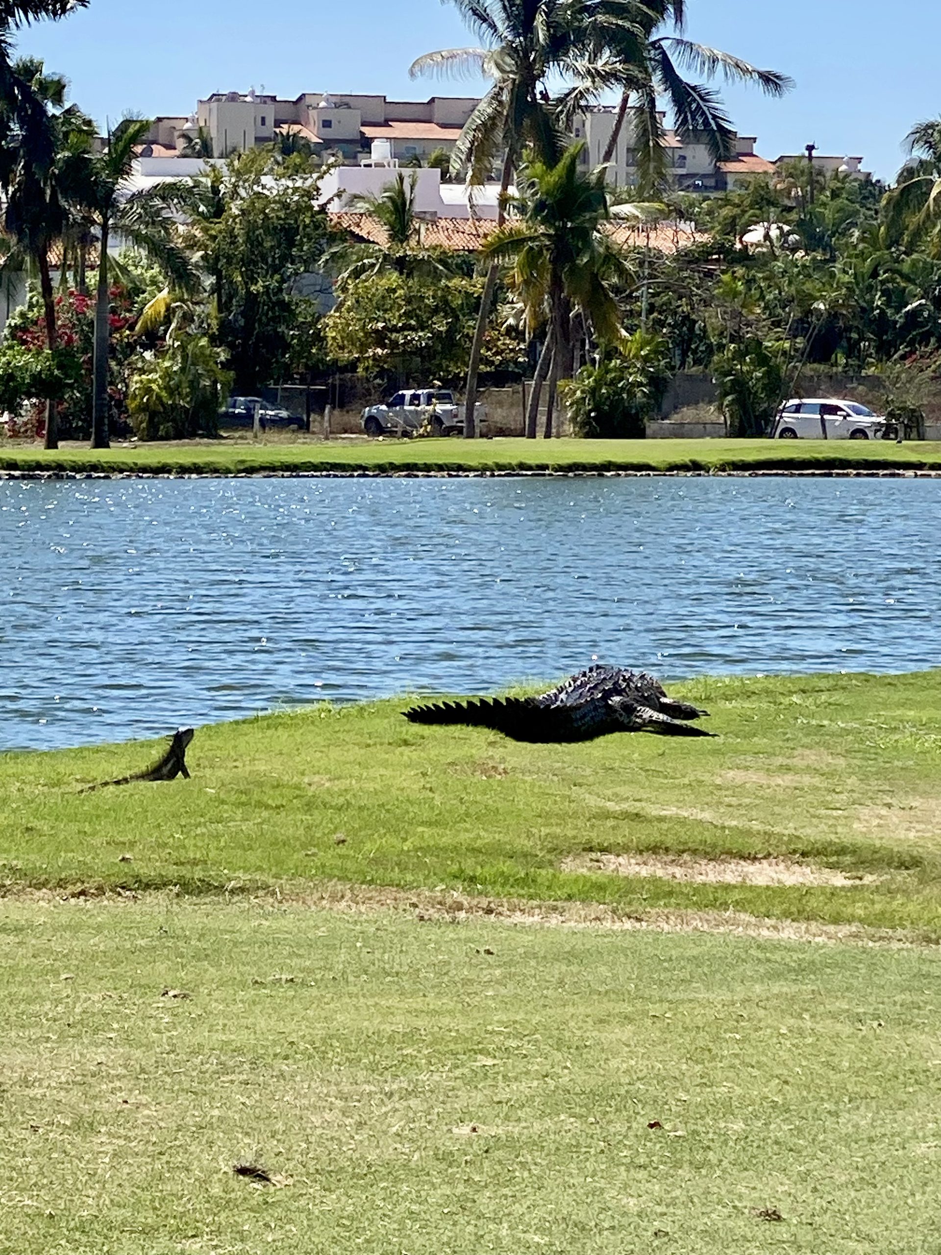 Marina Vallarta · Golf y estilo de vida