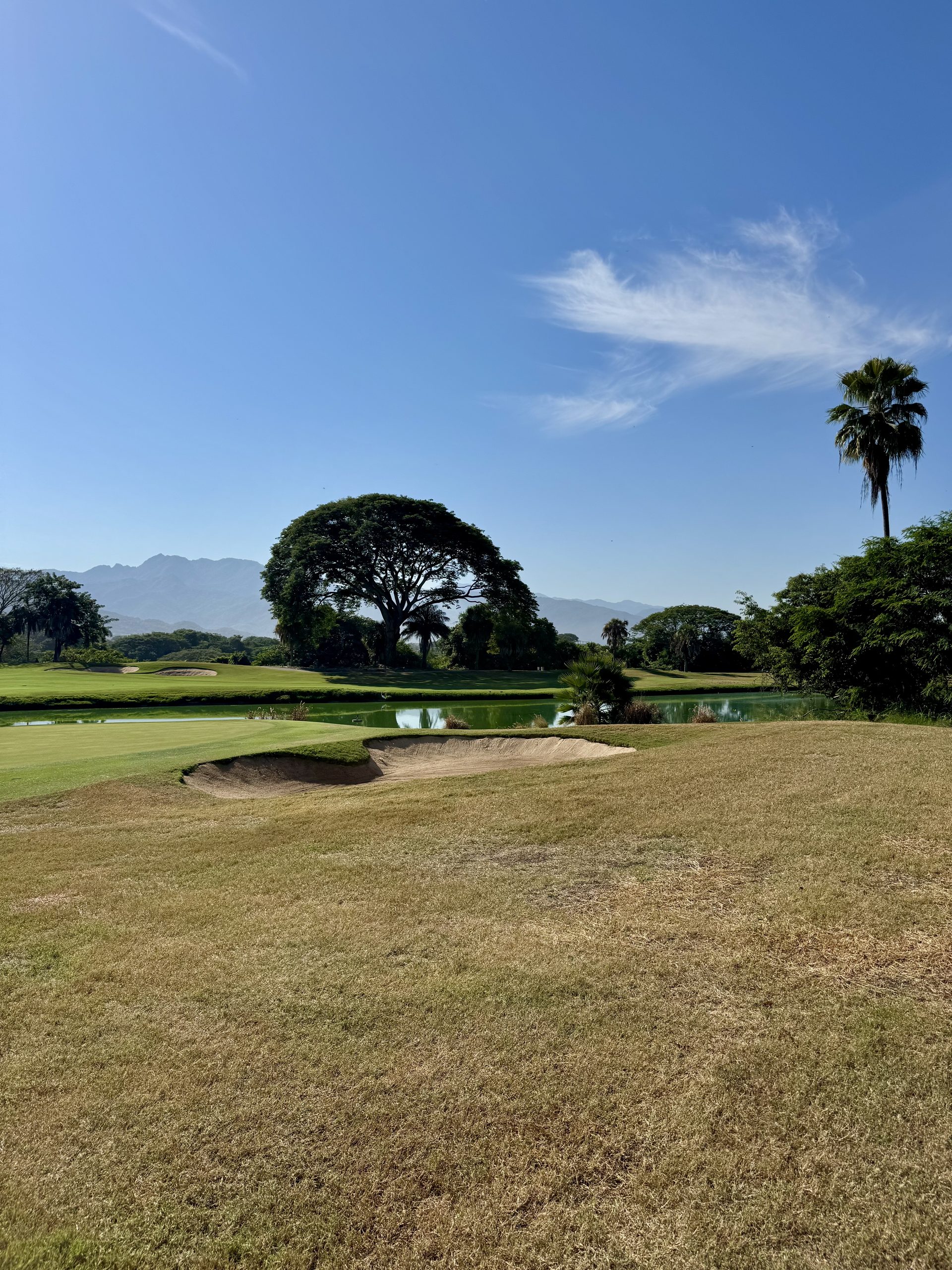 Zona Hotelera · Golf y estilo de vida